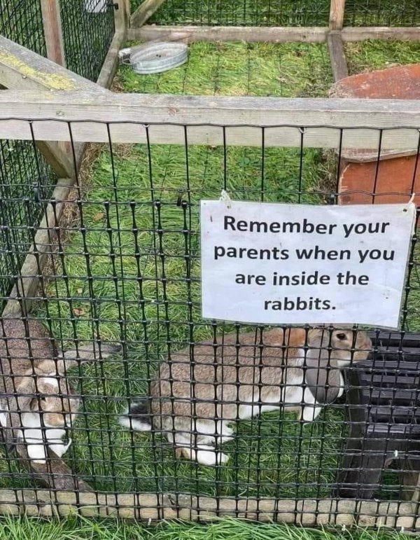 badtranslations15_033