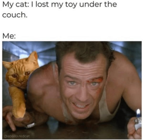 funnycats90_007