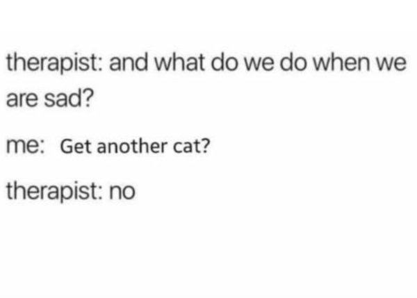 funnycats90_014