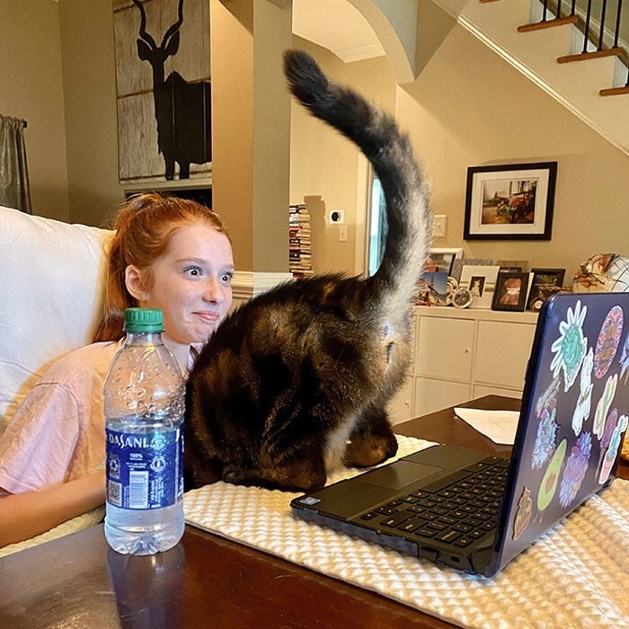 funnycats90_035