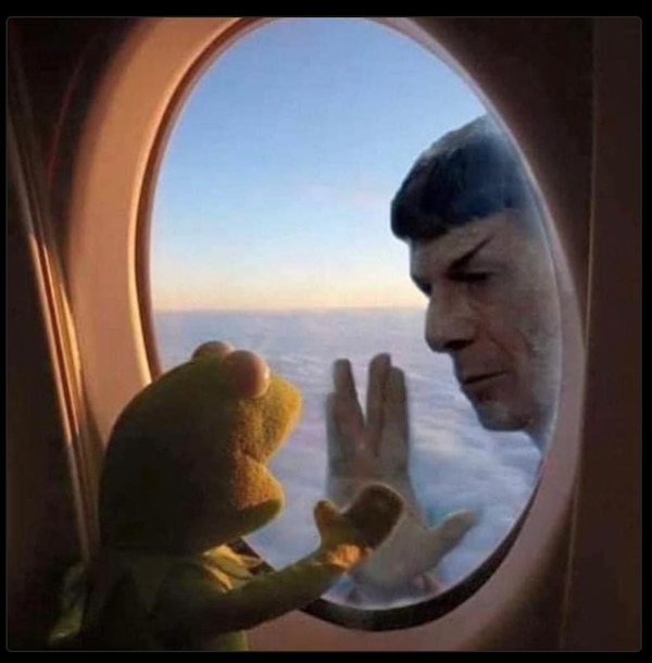 horrormoviememes12_026