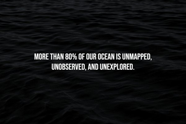 interestingfacts300_001