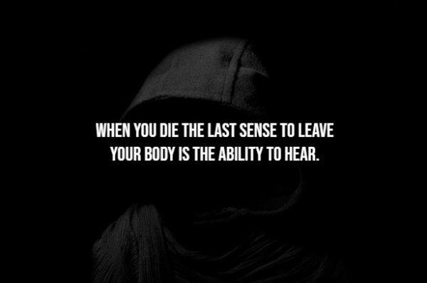 interestingfacts300_002