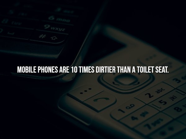 interestingfacts300_004