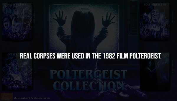 interestingfacts300_005