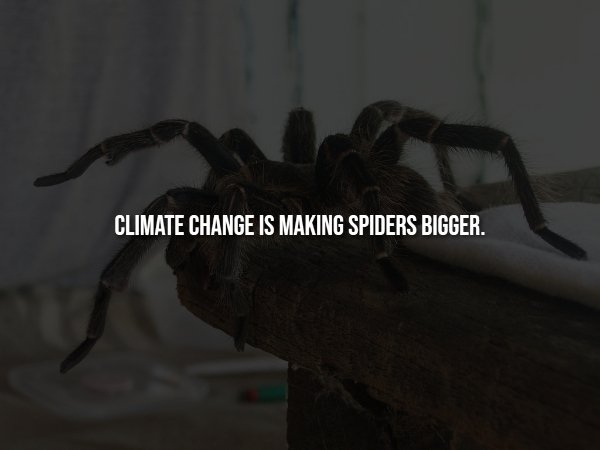 interestingfacts300_012