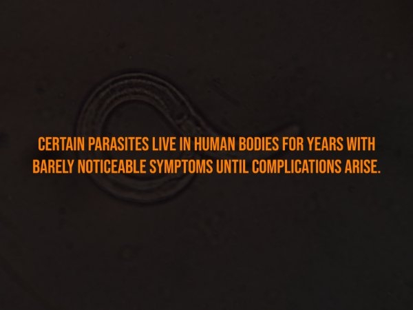 interestingfacts302_002