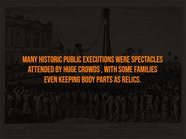 interestingfacts302_006