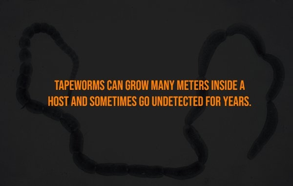 interestingfacts302_007