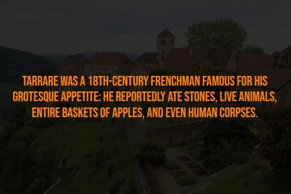 interestingfacts302_008