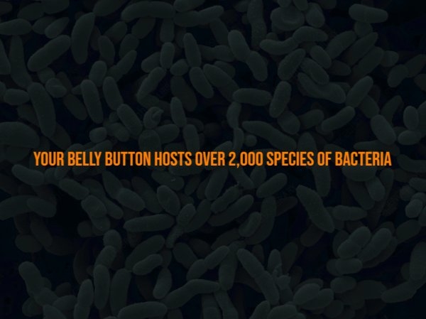 interestingfacts302_014