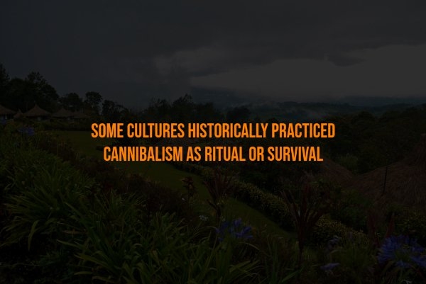 interestingfacts302_015