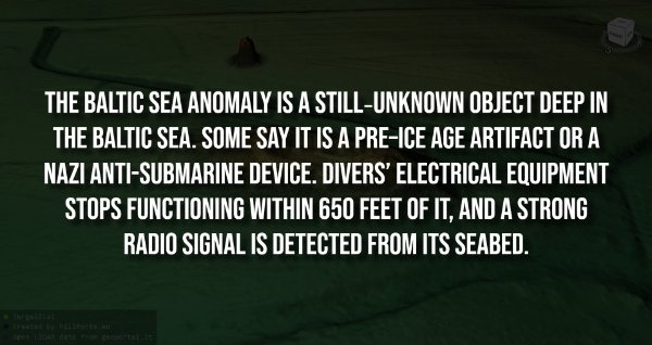 interestingfacts304_006