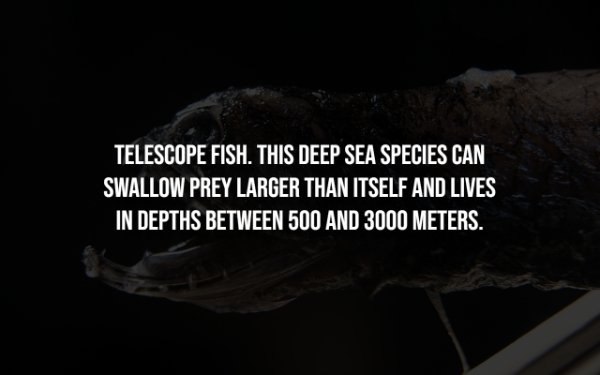 interestingfacts304_009