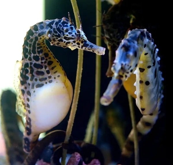 interestingfacts305_006