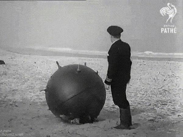 interestingfacts308_008