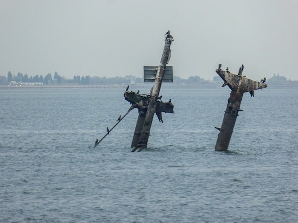 interestingfacts308_010