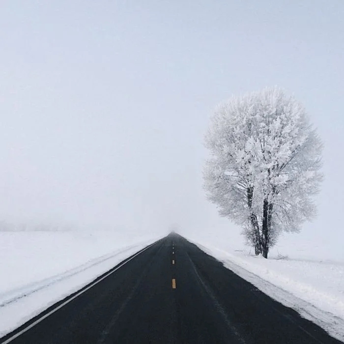 perfectphotos154_012