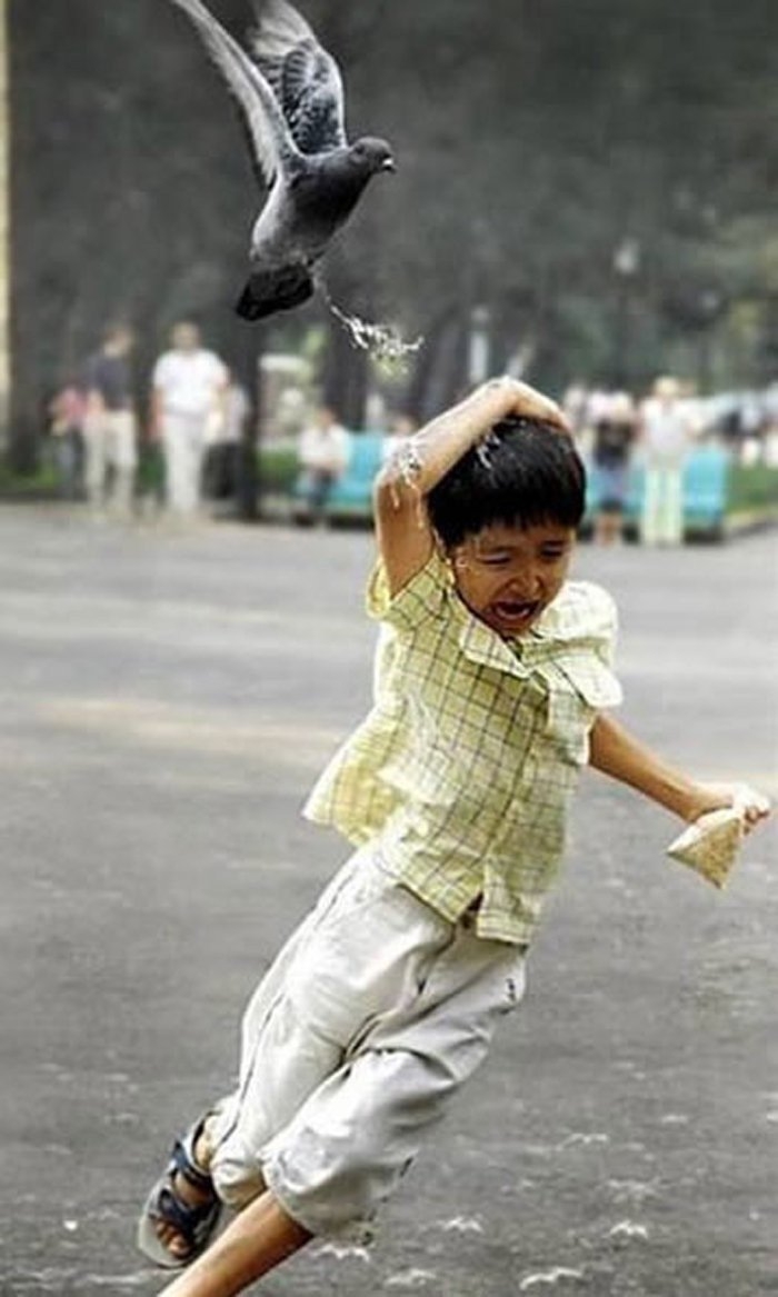 perfectphotos157_034