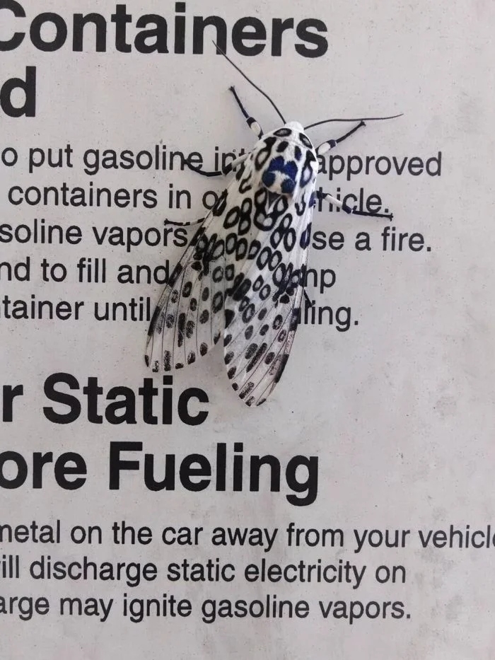 perfectphotos159_006