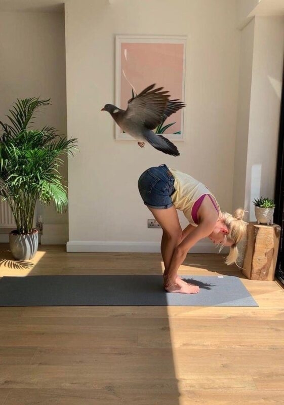 perfectphotos160_019