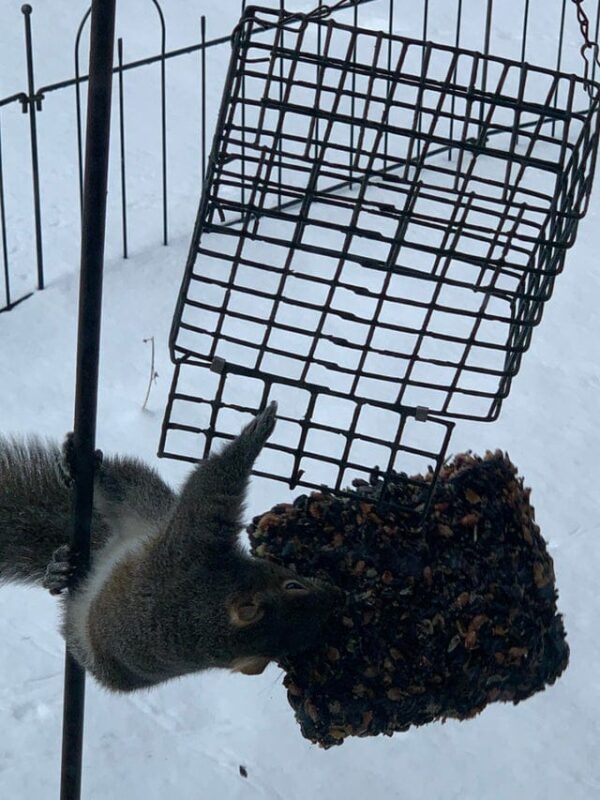 perfectphotos160_020