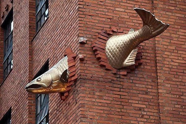 randompics1821_041