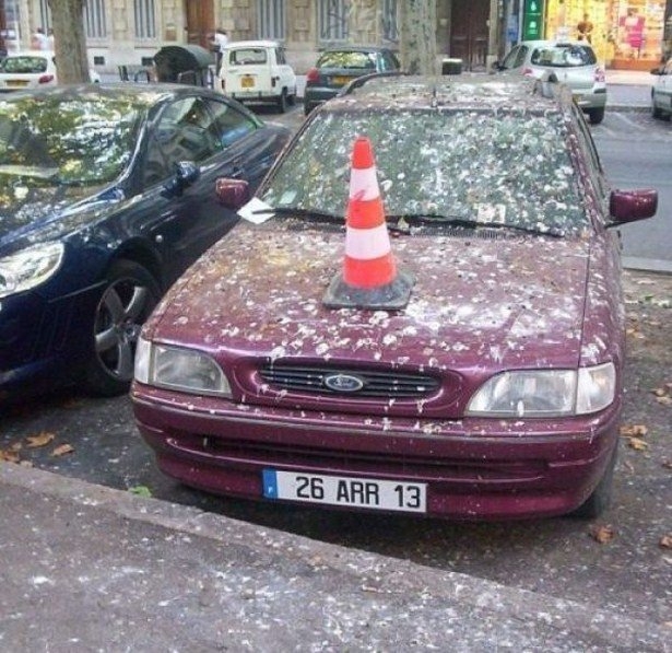 failz282_003