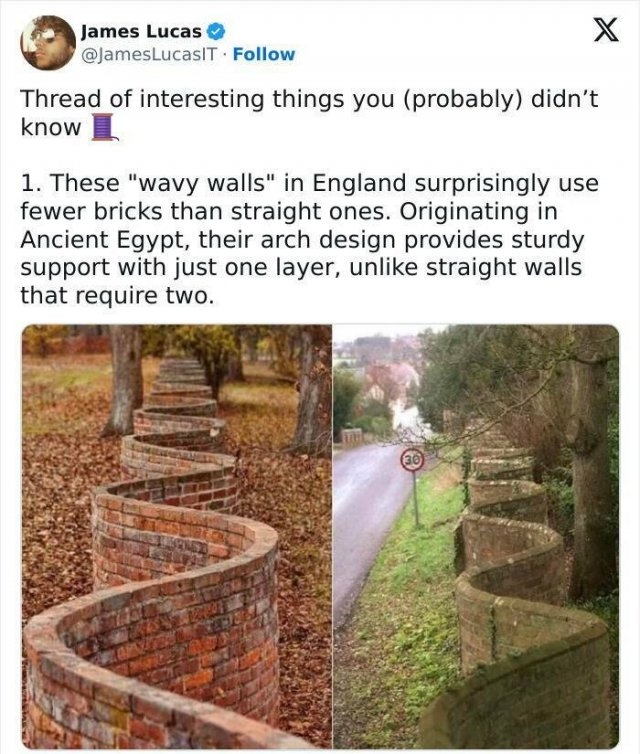 interestingfacts309_007