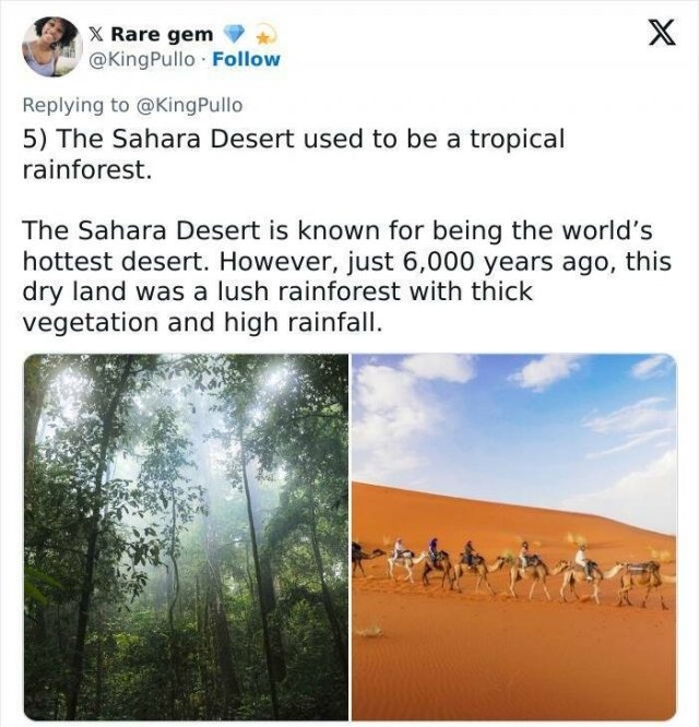 interestingfacts309_008