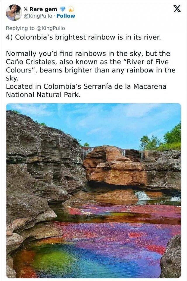 interestingfacts309_009