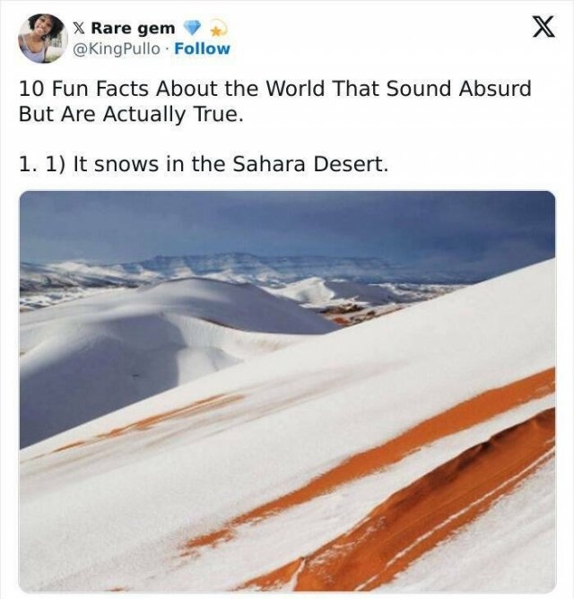 interestingfacts309_011