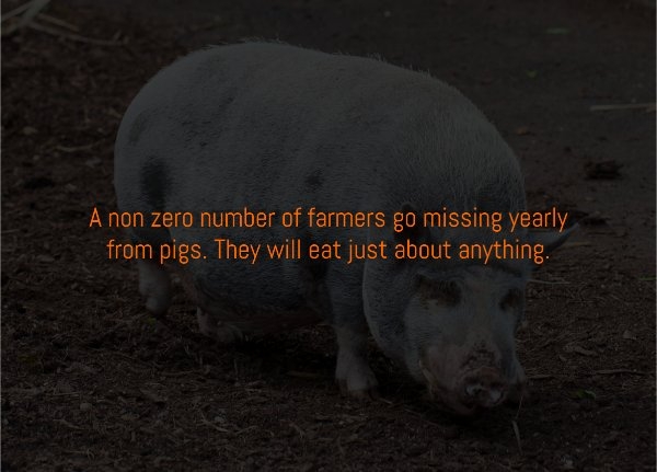 interestingfacts310_008