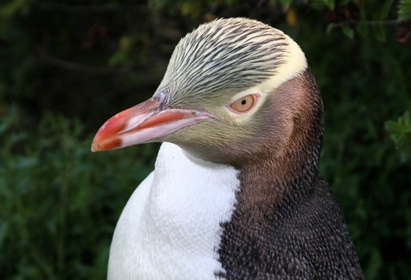 interestingfacts312_004