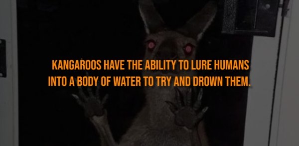 interestingfacts313_002