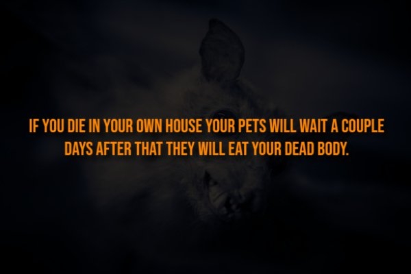 interestingfacts313_004