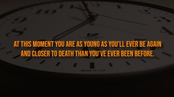 interestingfacts313_006