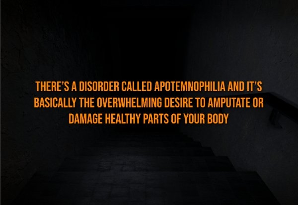 interestingfacts313_009