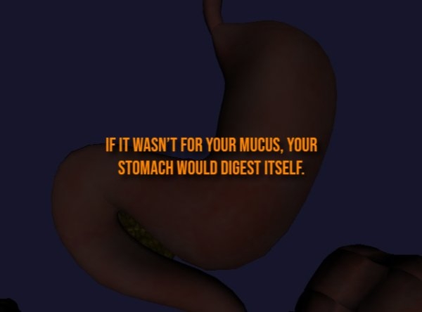 interestingfacts313_012