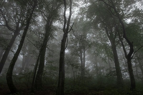 interestingfacts315_010