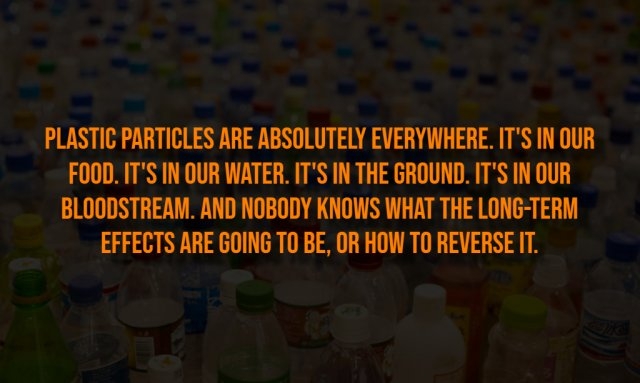 interestingfacts316_002