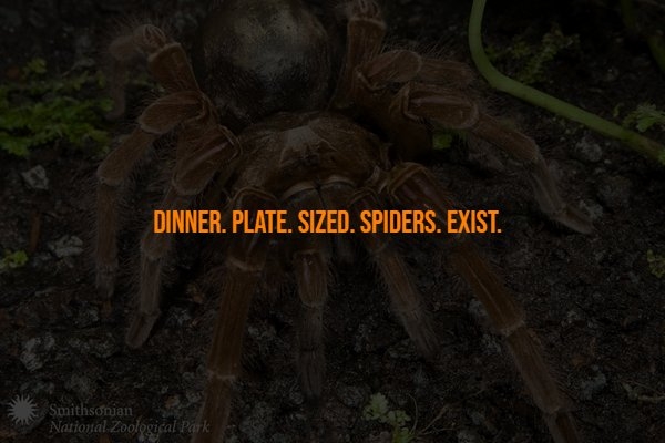 interestingfacts316_007