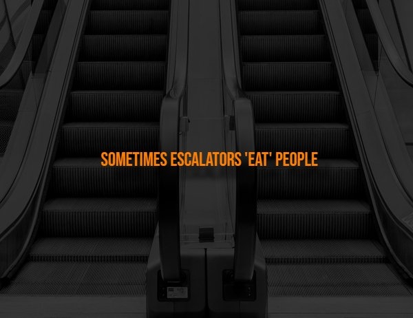 interestingfacts316_009