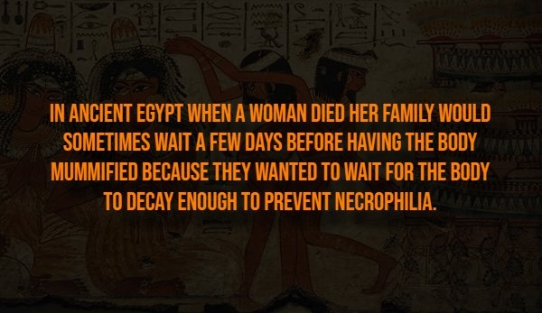 interestingfacts316_012