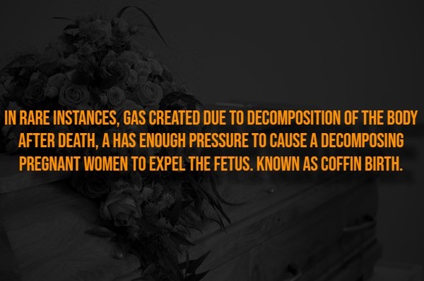 interestingfacts318_001