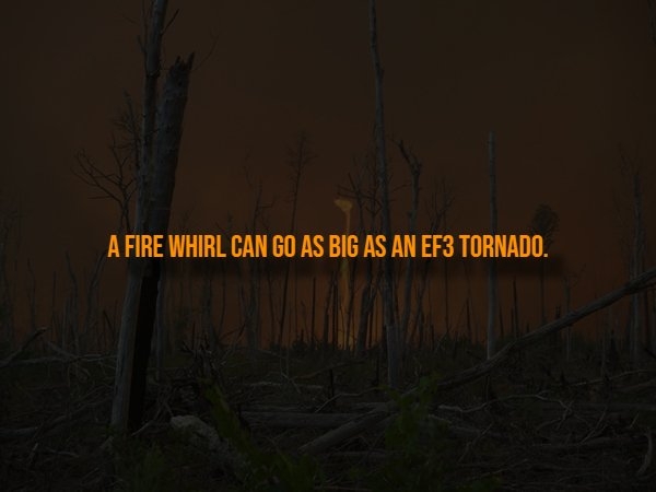 interestingfacts318_002