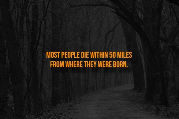 interestingfacts318_008