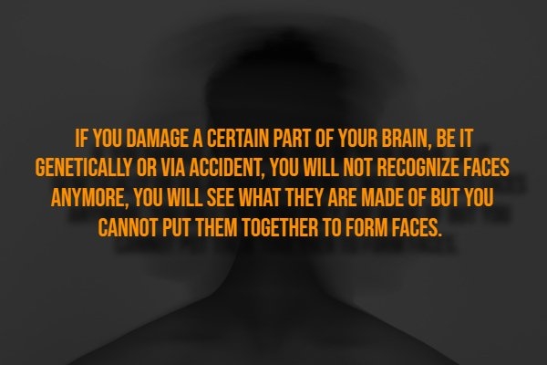 interestingfacts318_009