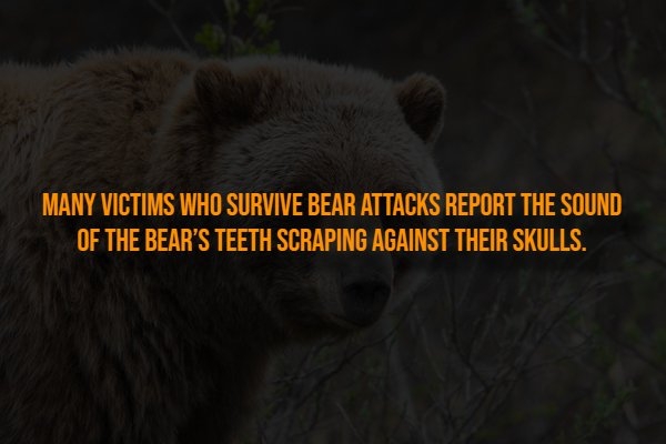 interestingfacts318_010