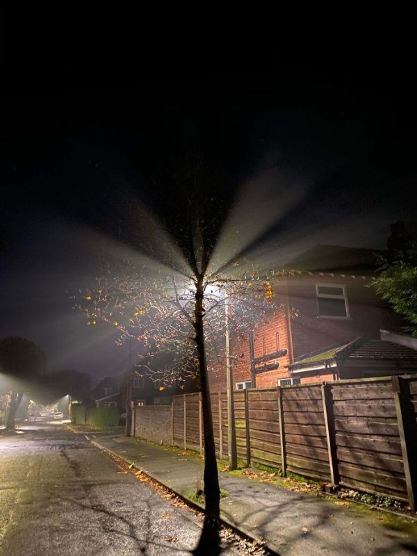 perfectphotos163_018